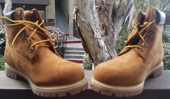 Timberland - Picture 3 of 5